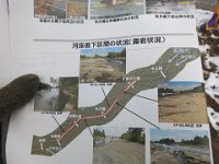picture (17)
